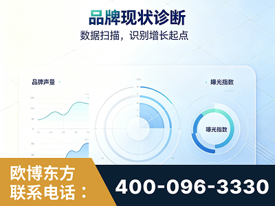 黔西-品牌现状诊断