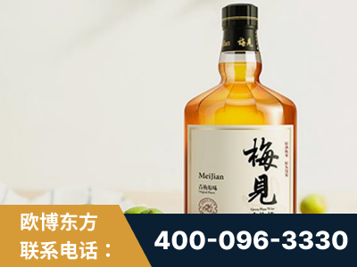 黔西-梅见青梅酒